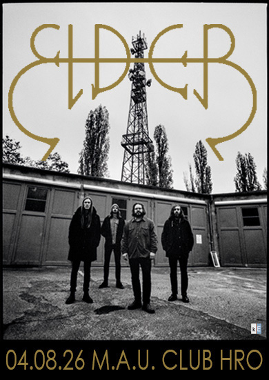 Elder in Rostock! - pic-31077