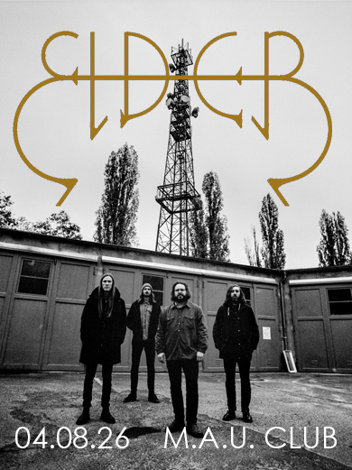 Elder in Rostock! - pic-31077